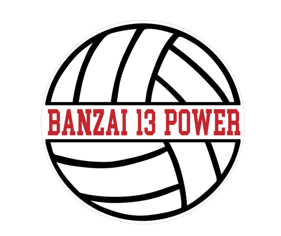 Sports Ball: Personalized 3D Round Door Hanger